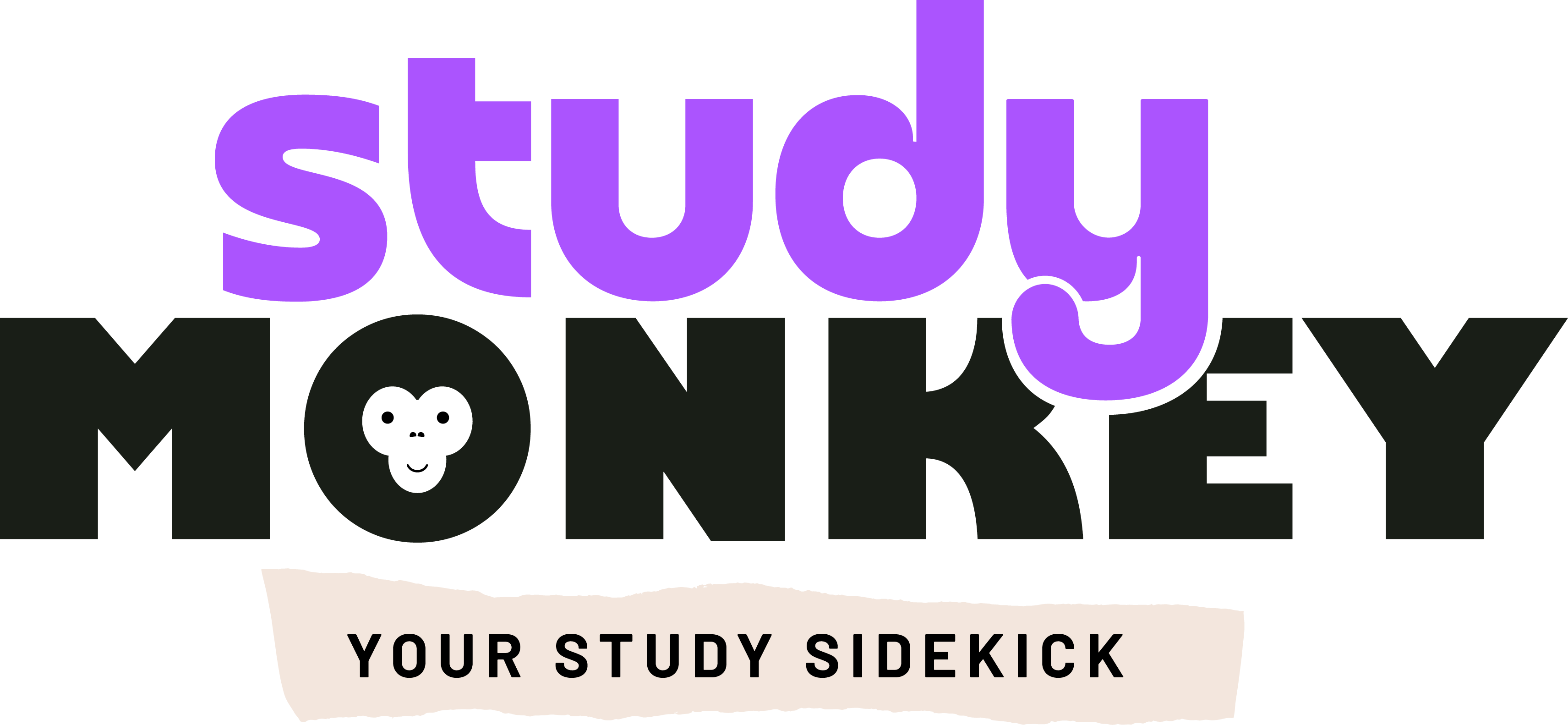 Study Monk3y | Learn Smarter